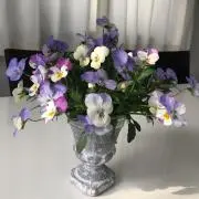 しののへや