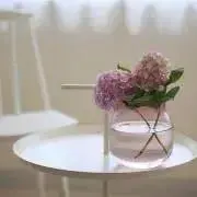 ららんこの画像