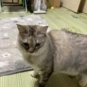 xxppの画像
