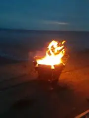 でん助の画像