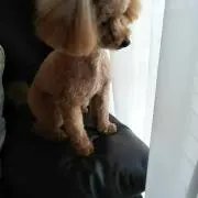 ゆんこ