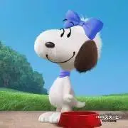 ふの画像