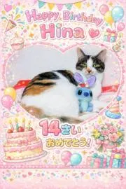 ひなとアベルの画像