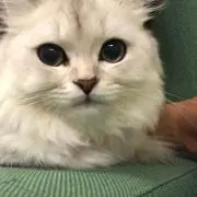 まっきー