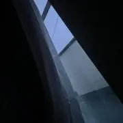 ぴの画像