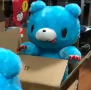 ペンの画像
