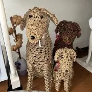 あんの画像