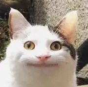 ^._.^の画像