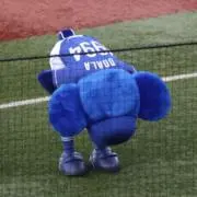 はの画像