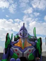 ハルウララの画像