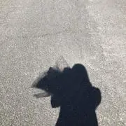ku