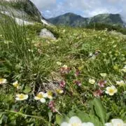 toshiの画像