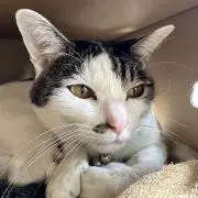 Yuki