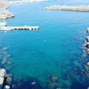 うさまるの画像