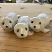 ななの画像