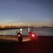 Yの画像