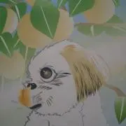 ★KIZUNA★の画像