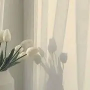 みほの画像