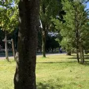tasiaの画像