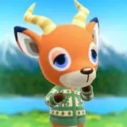 のんのんの画像