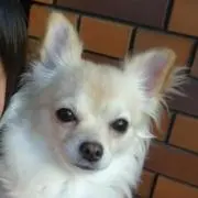 FUMI