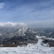 アモの画像