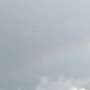 mocaの画像