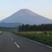 りんこの画像