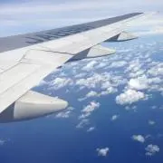 yumaの画像