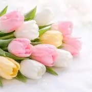 Flowerの画像