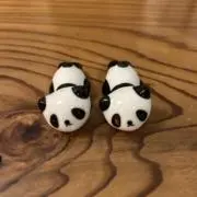 この画像
