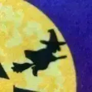 ぱこの画像