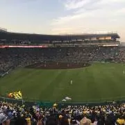 のりスケ