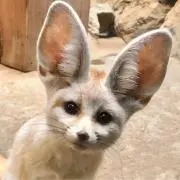 よの画像
