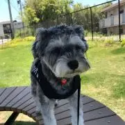 ノリユキ