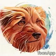 質・立派亭堂の画像
