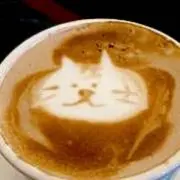 おちゃの画像