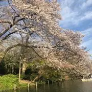 mの画像