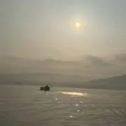 cheriyuの画像