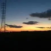 常緑