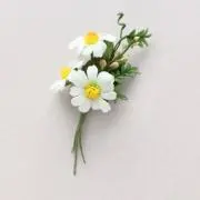 即購入可‼️グリーンの画像