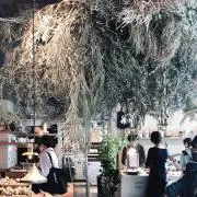さきの画像