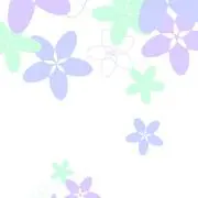 chiruの画像
