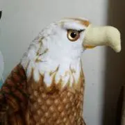 かわらの画像