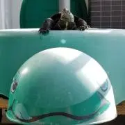 YUKKE※プロフィールご確認ください！の画像