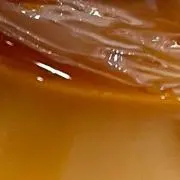 はちみつ梅の画像