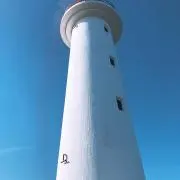 あの画像