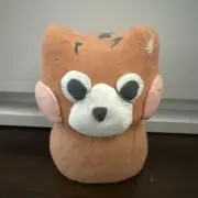 pocoの画像