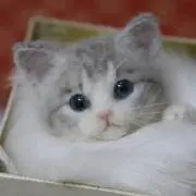 NyaNya