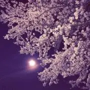 さあや